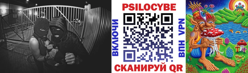 Купить  Берёзовский  Галлюциногенные грибы мухоморы 