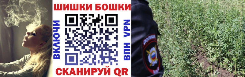 Купить закладки  Берёзовский  Бошки марихуана конопля 